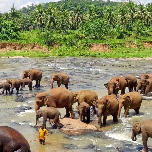 Tour Operators in Sri Lanka