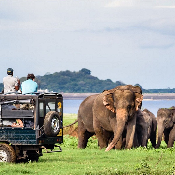 Tour Guides in Sri Lanka